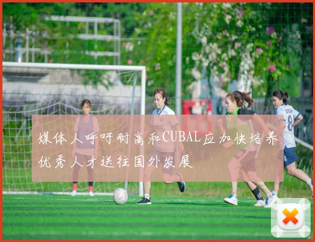 媒体人呼吁耐高和CUBAL应加快培养优秀人才送往国外发展