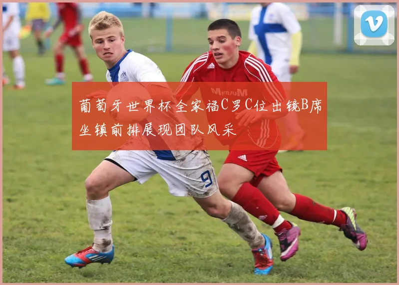 葡萄牙世界杯全家福C罗C位出镜B席坐镇前排展现团队风采